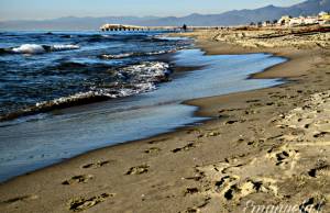 Spiaggia Libera Archivio Notizie Versiliatodayit