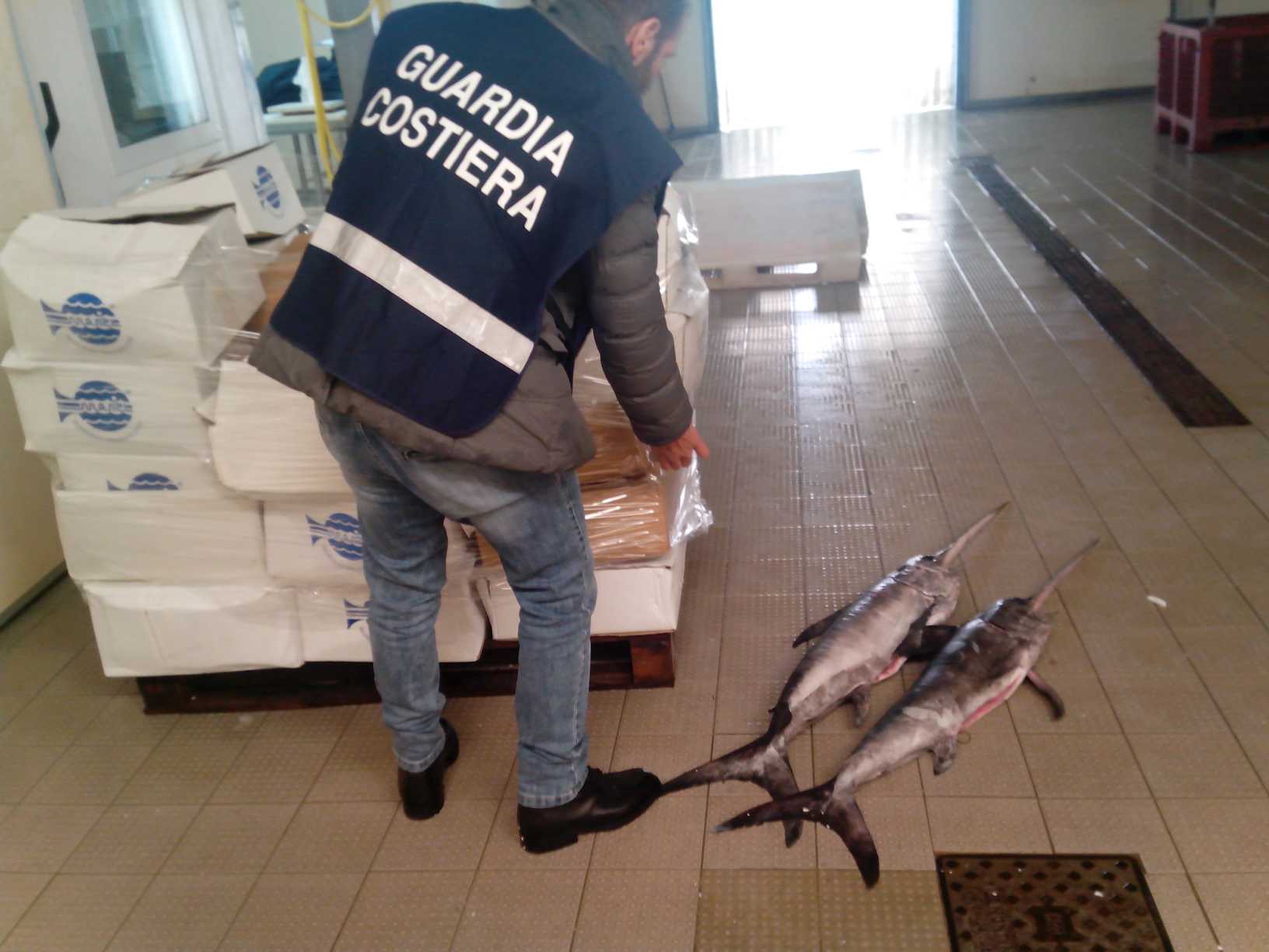 “Confine illegale”: 6 tonnellate di prodotti ittici sequestrati