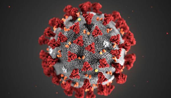 Coronavirus, ottenuti due farmaci su misura: attaccano l’enzima motore del virus