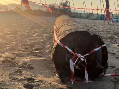 Un siluro in spiaggia, transennato un tratto di arenile a Forte dei Marmi