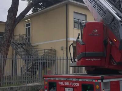 Maltempo: cade un albero su un tetto di una scuola a Viareggio