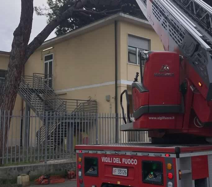 Maltempo: cade un albero su un tetto di una scuola a Viareggio